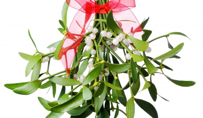 Zutat für den Zaubertrank