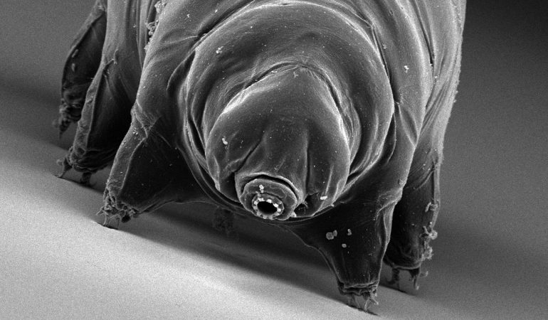 Überall und doch unsichtbar