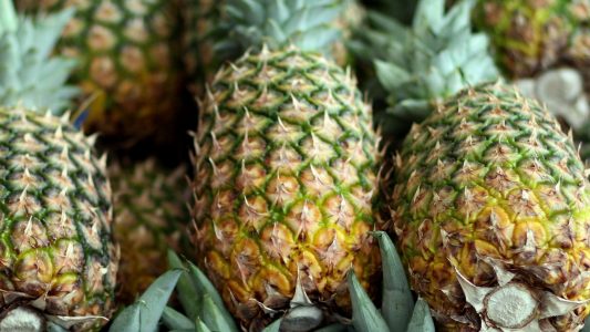 So tun als wäre Sommer