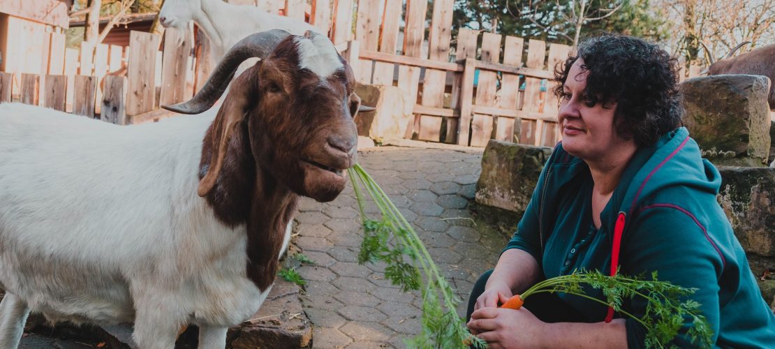 Kochen für die Zootiere
