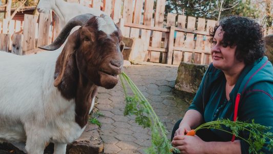Kochen für die Zootiere