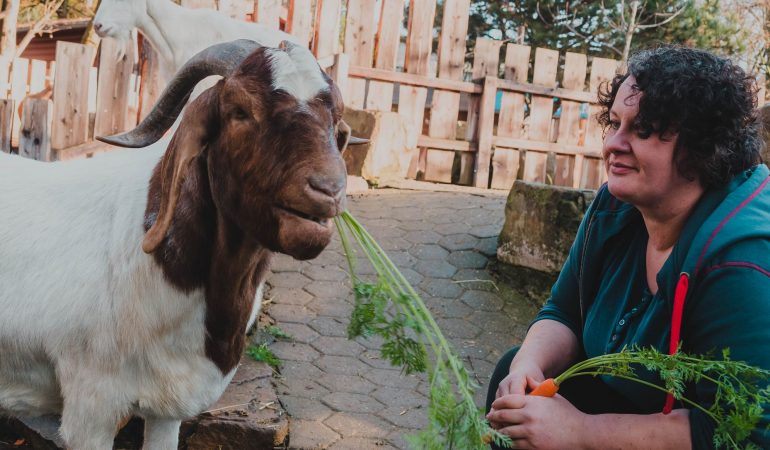 Kochen für die Zootiere