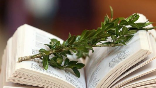 Palmen, ein Kreuz und ein leeres Grab 