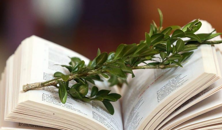 Palmen, ein Kreuz und ein leeres Grab 