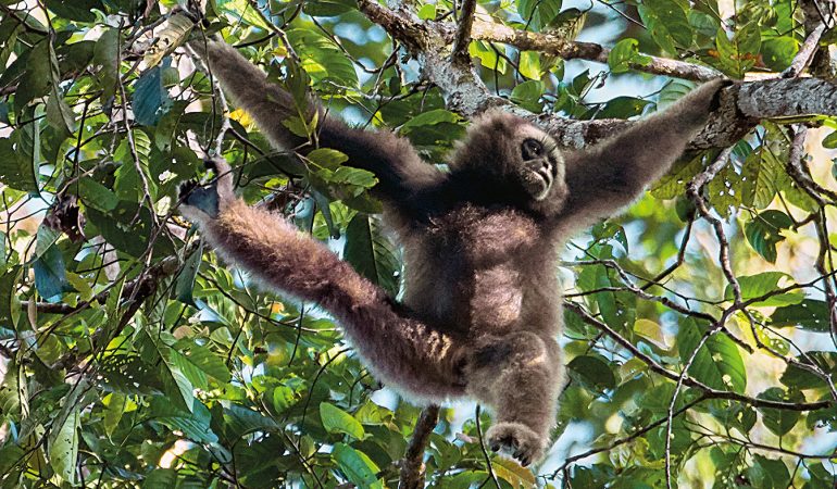 Arbeiten mitten im Urwald