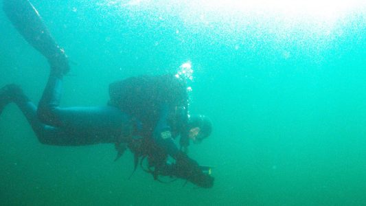 Versunkene Welten erforschen