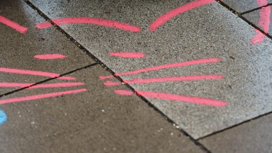 Katzengesichter gegen blöde Sprüche