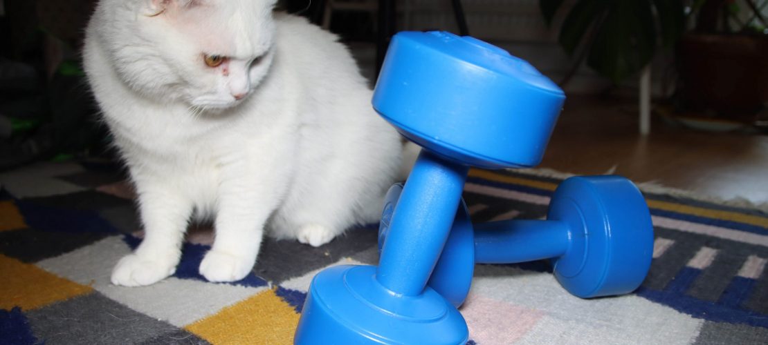 Aua, Muskelkater!