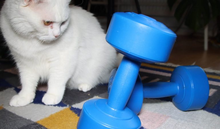 Aua, Muskelkater!