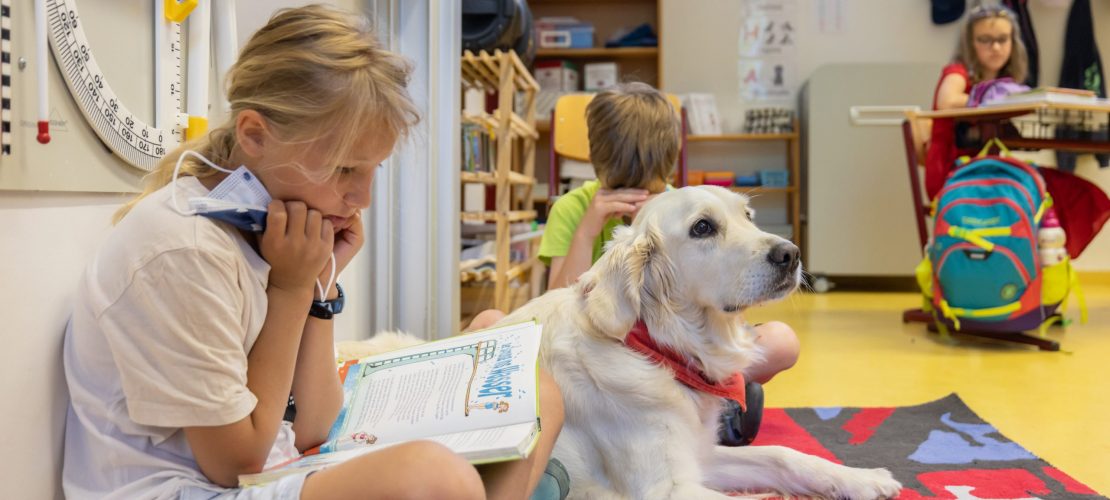 Goldenes Fell im Klassenzimmer