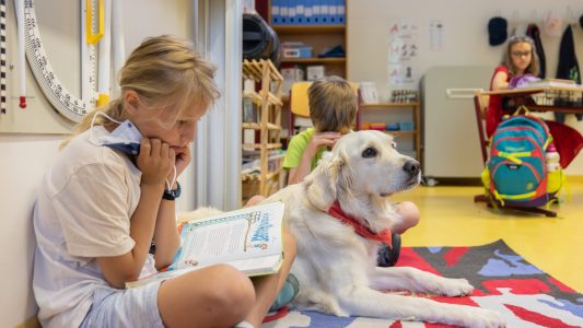 Goldenes Fell im Klassenzimmer