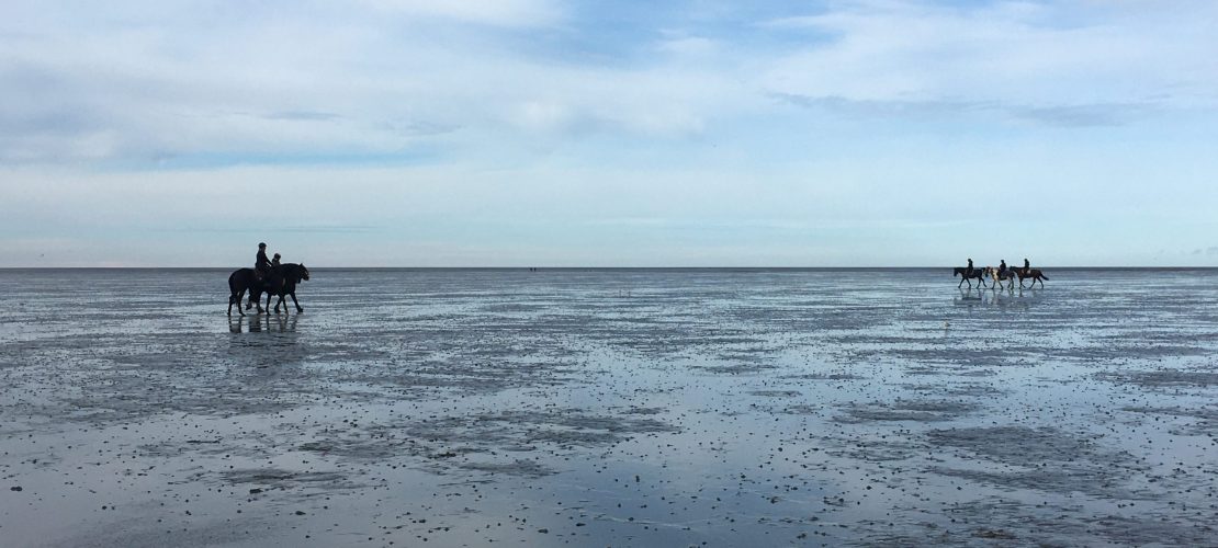 Vom Wasser überrascht