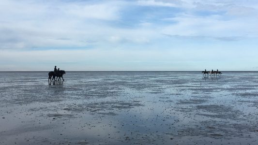 Vom Wasser überrascht