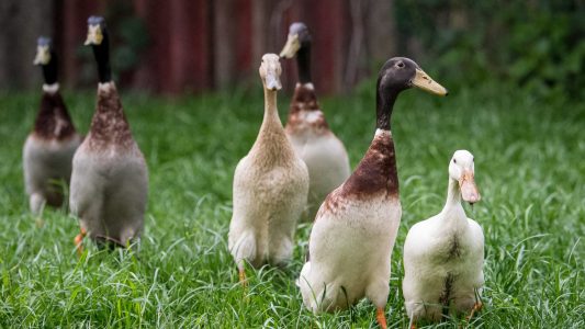 Immer schön zusammenbleiben