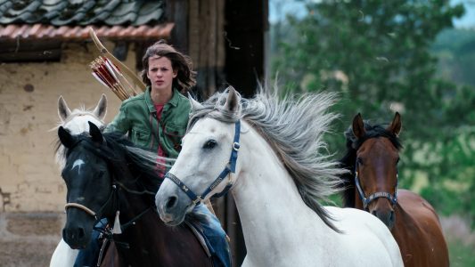 Pferde, Spannung, Freunde