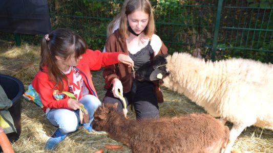 „Tiere sind fühlende Wesen“