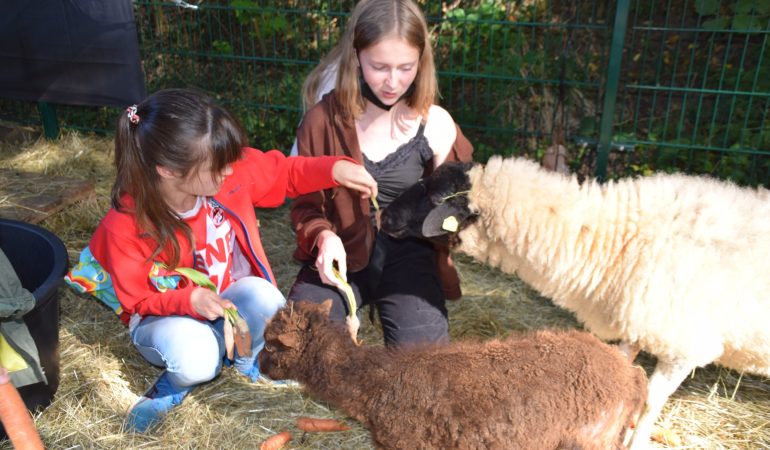 „Tiere sind fühlende Wesen“