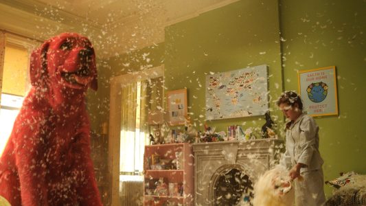 Rettung für den Riesen-Welpen