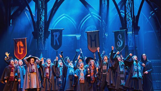 Einmal Harry Potter sein