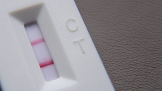 Die Nachbarn haben uns toll versorgt