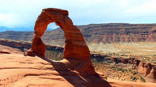 Das Zuhause seltener Pflanzen und Tiere