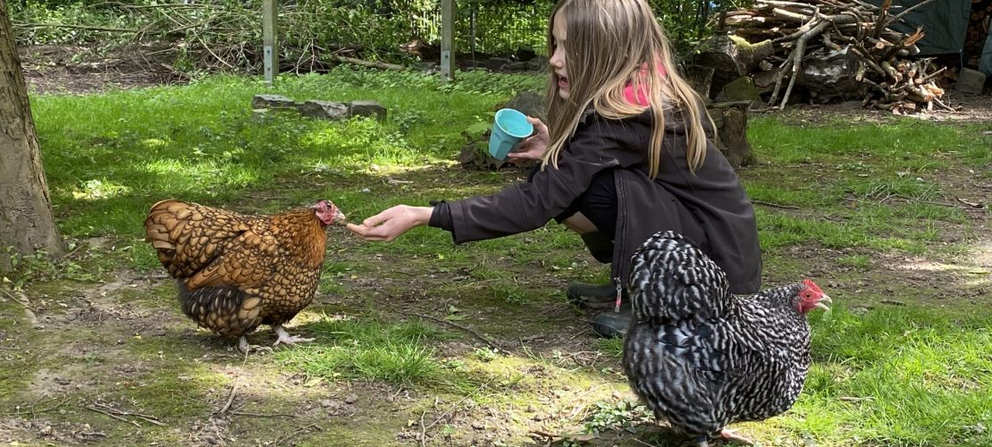 Eine richtig coole Sache