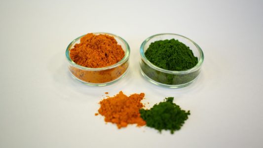 Algen für die Zukunft erforschen