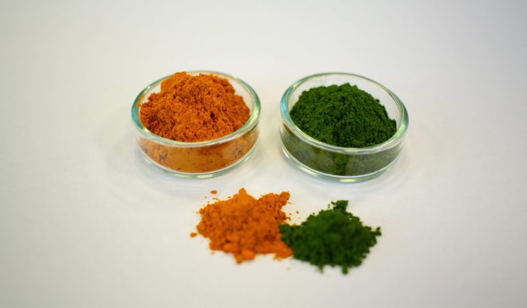 Algen für die Zukunft erforschen