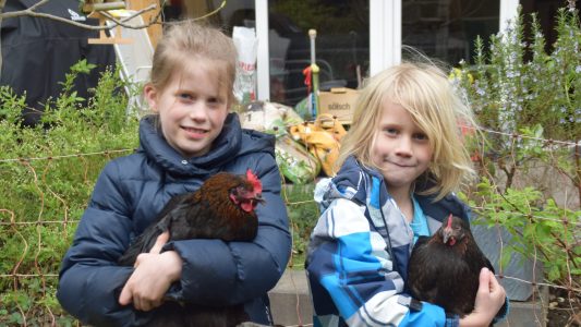 Täglich frische Eier