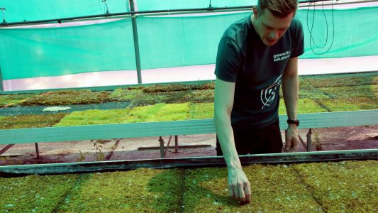 Ganz natürlich die Luft säubern