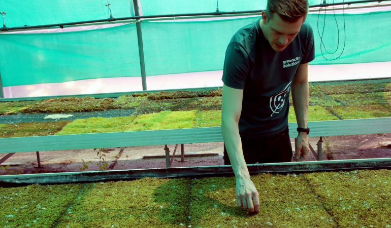 Ganz natürlich die Luft säubern