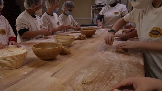 Lebensmittel schätzen lernen