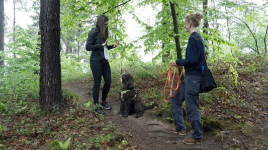 Mit den Nasenprofis in der Schule