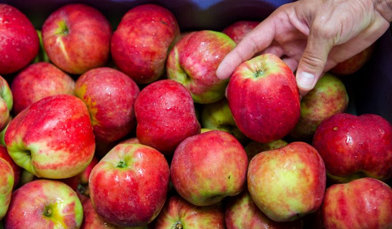 Wenn aus Hunger schlechte Laune wird