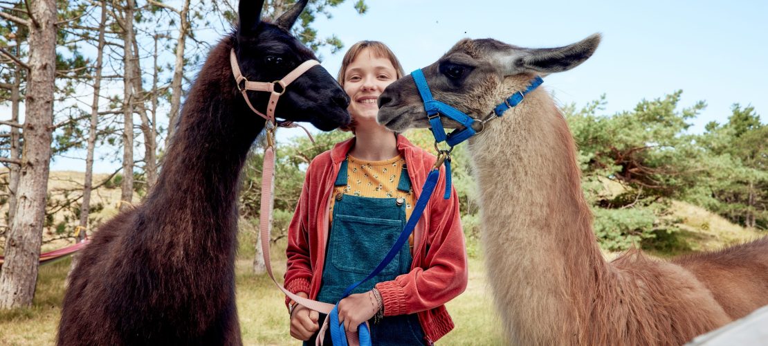 Lottas verzwickte Klassenfahrt nach Amrum
