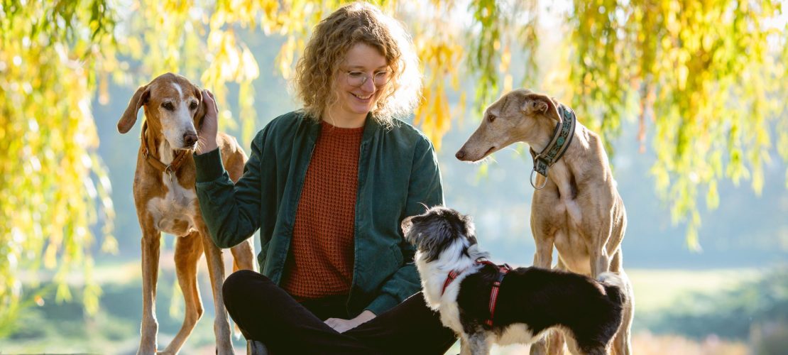 Hunde beobachten Menschen sehr genau