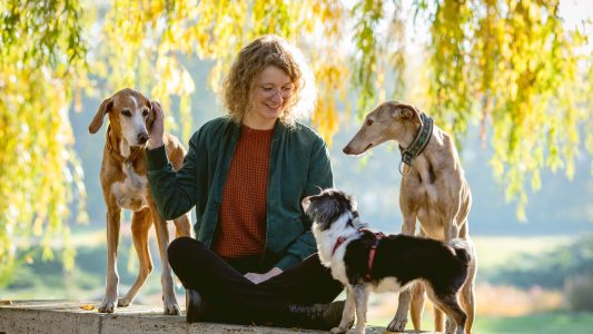 Hunde beobachten Menschen sehr genau