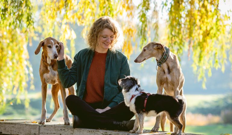 Hunde beobachten Menschen sehr genau
