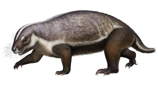 Verrücktes Tier im Schatten der Dinosaurier