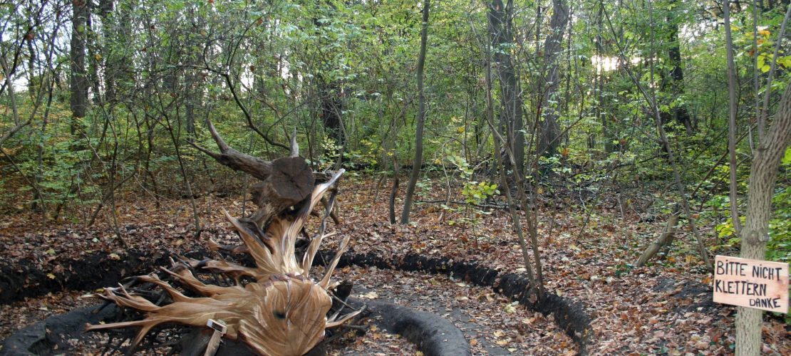 Tote Bäume zum Leben erwecken