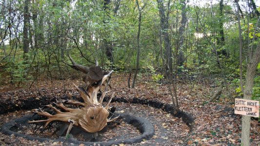 Tote Bäume zum Leben erwecken