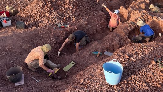 In der Wüste nach Dinosauriern suchen