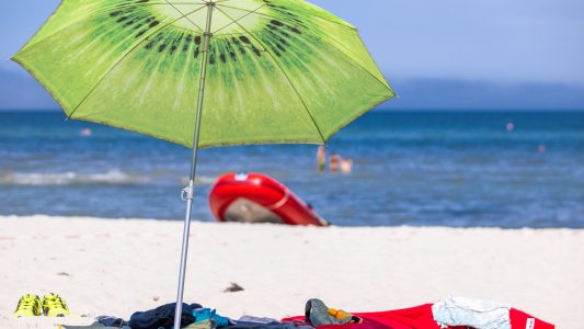 Was du noch nicht über den Sommer wusstest