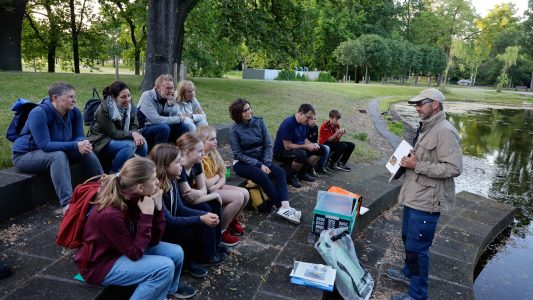 Fliegende Säugetiere