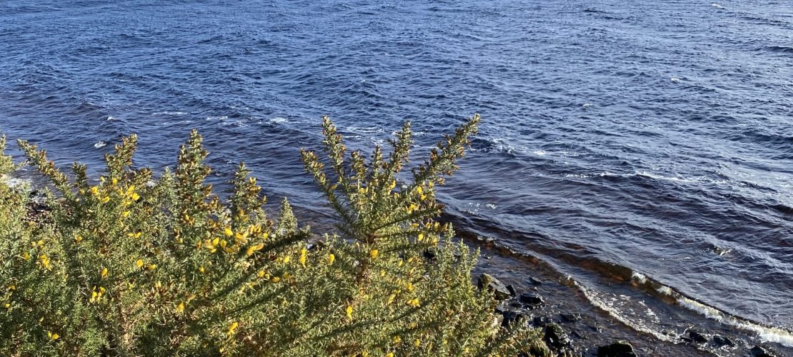 Berühmter See dank Ungeheuer