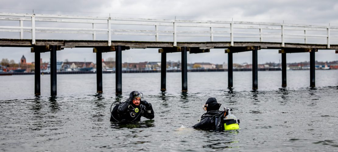 Neue Wiesen unter Wasser