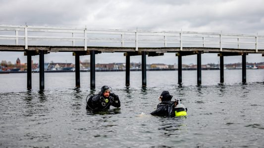 Neue Wiesen unter Wasser