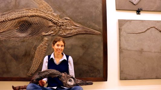 Gefährliche Jäger mit spitzen Zähnen