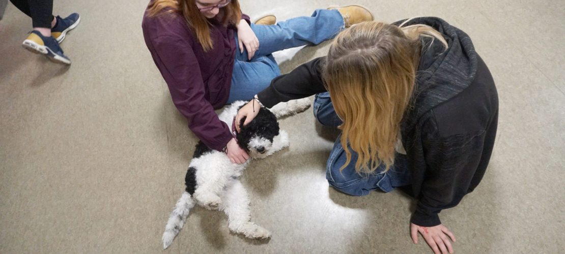 Benni ist besser als ein Spickzettel