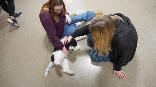 Benni ist besser als ein Spickzettel